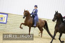 22R13_16403 proof