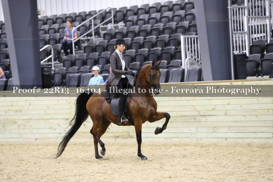 Proof 22R13_16404