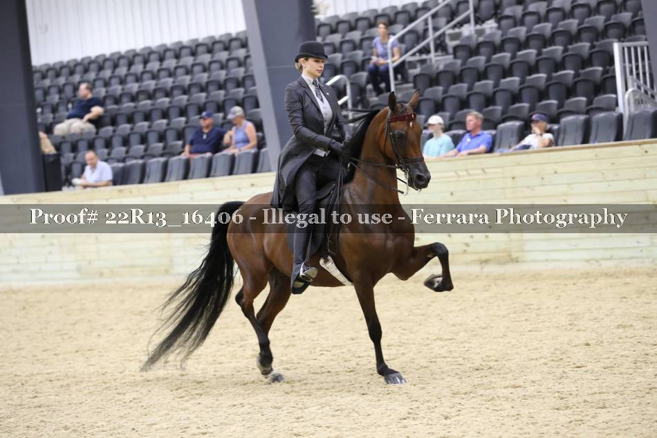 Proof 22R13_16406