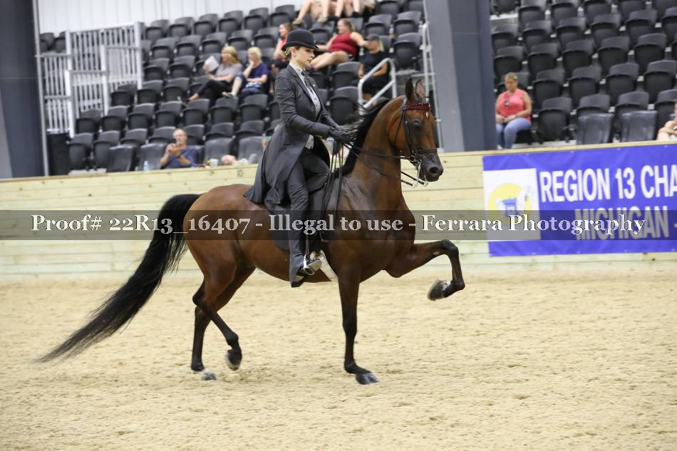 Proof 22R13_16407