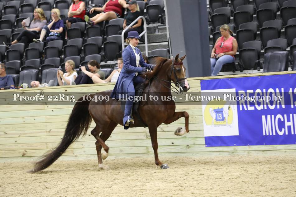 Proof 22R13_16409