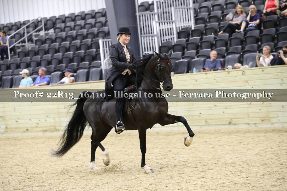 Proof 22R13_16410