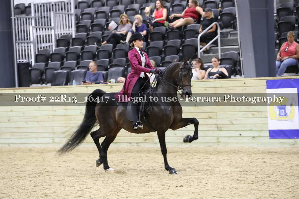 Proof 22R13_16417