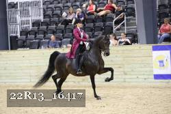22R13_16417 proof