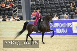 22R13_16418 proof