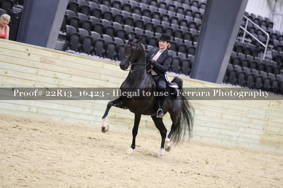 Proof 22R13_16423