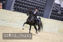 22R13_16423 proof