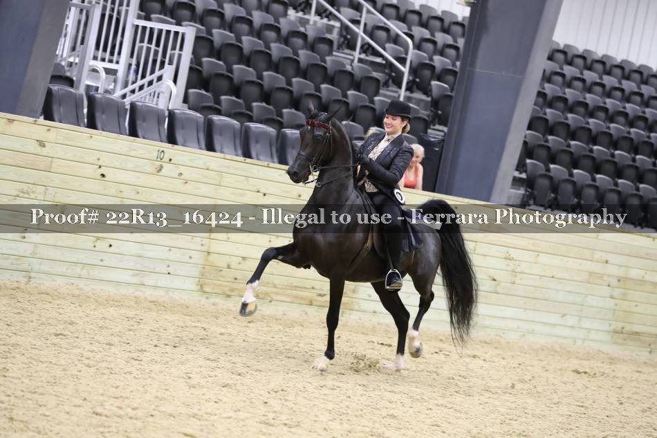 Proof 22R13_16424