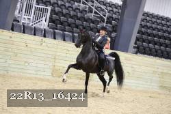 22R13_16424 proof