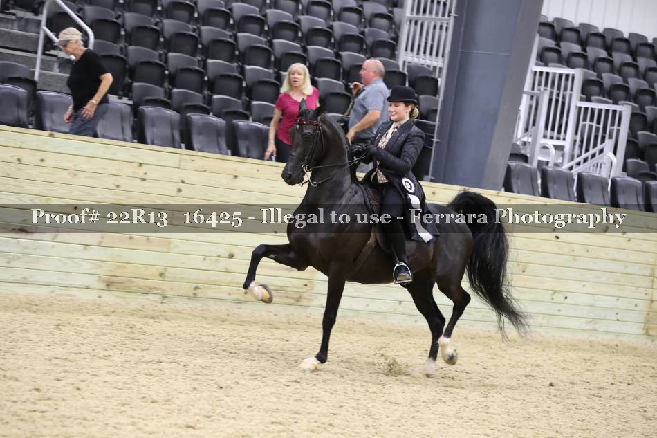 Proof 22R13_16425