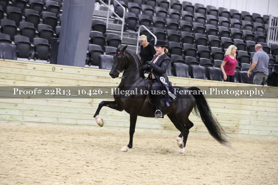 Proof 22R13_16426