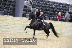 22R13_16426 proof