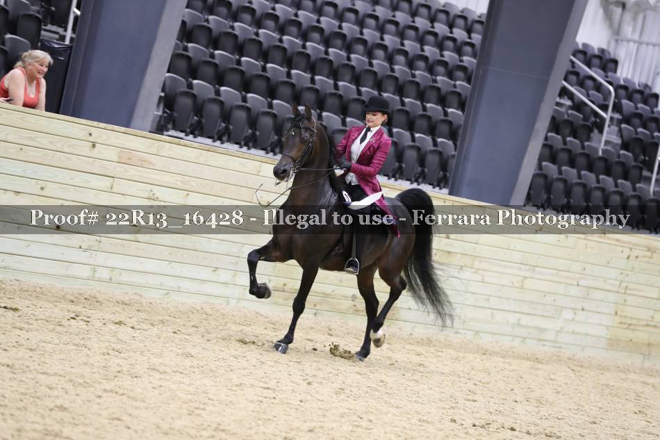 Proof 22R13_16428