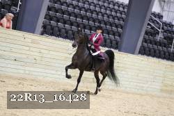 22R13_16428 proof