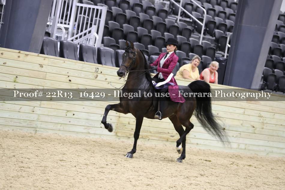Proof 22R13_16429