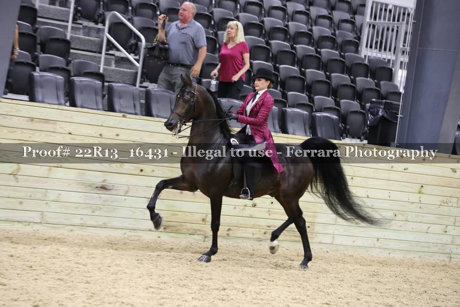 Proof 22R13_16431