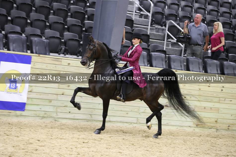 Proof 22R13_16432