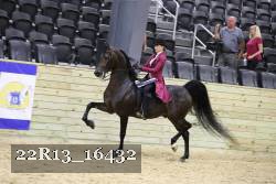 22R13_16432 proof