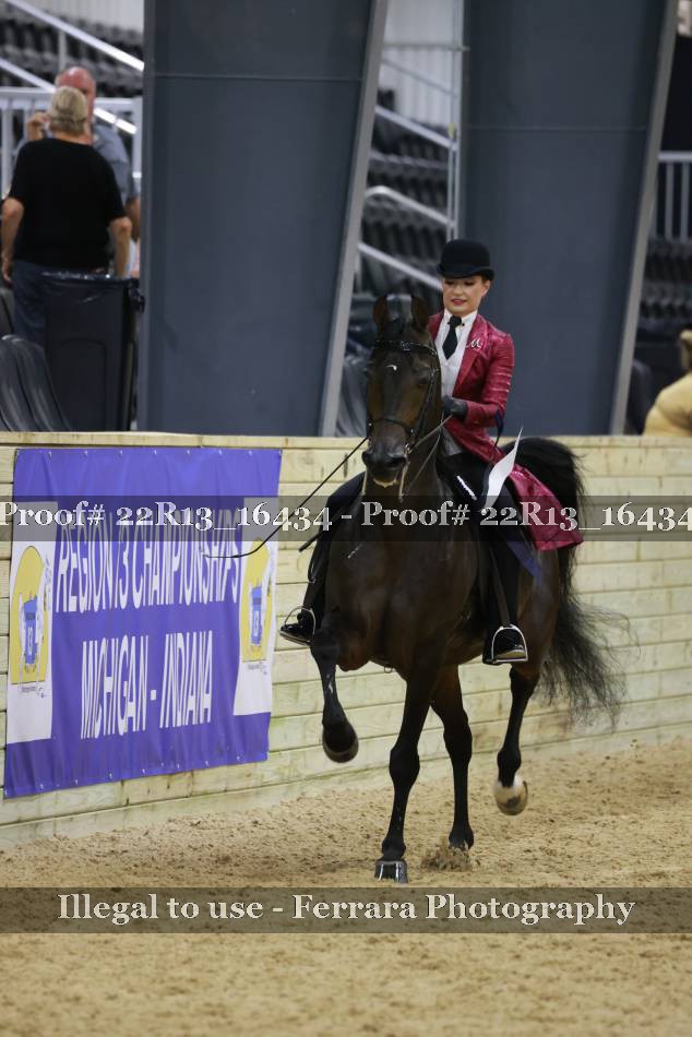 Proof 22R13_16434