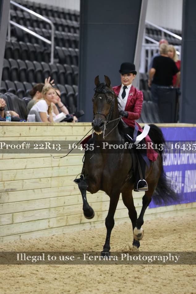 Proof 22R13_16435