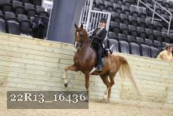 22R13_16436 proof