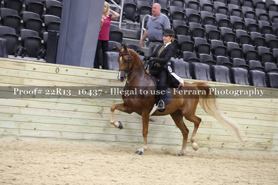 Proof 22R13_16437