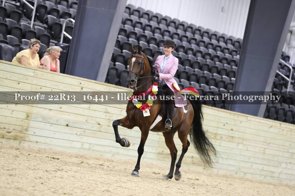 Proof 22R13_16441