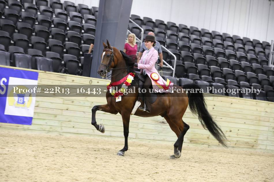 Proof 22R13_16443