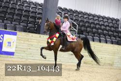 22R13_16443 proof
