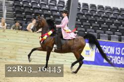 22R13_16445 proof