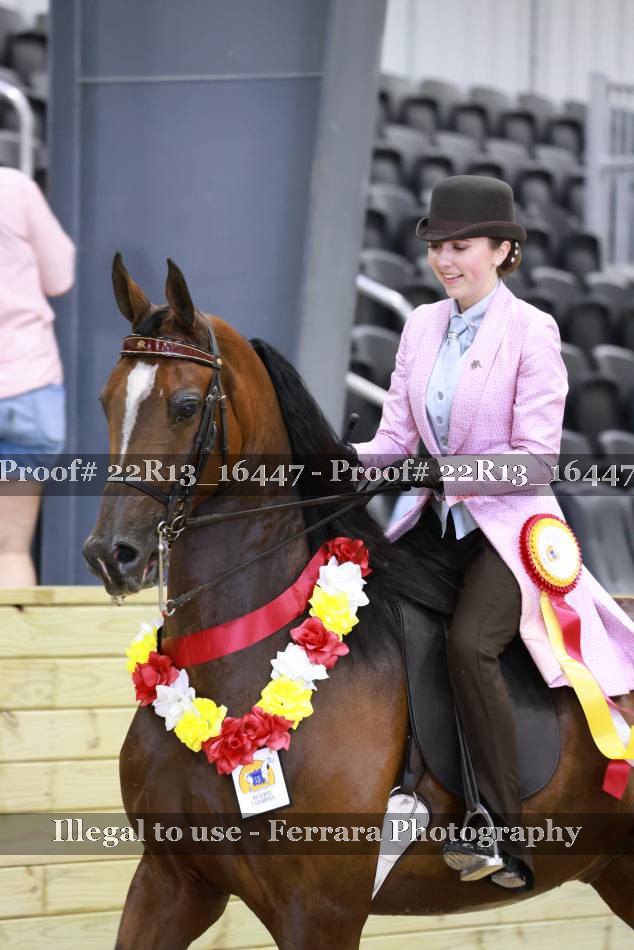 Proof 22R13_16447