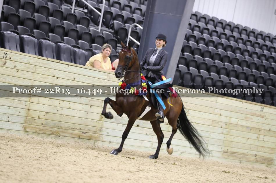 Proof 22R13_16449