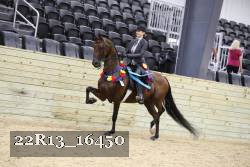 22R13_16450 proof