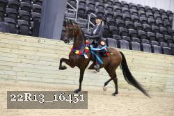 22R13_16451 proof