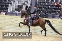 22R13_16455 proof