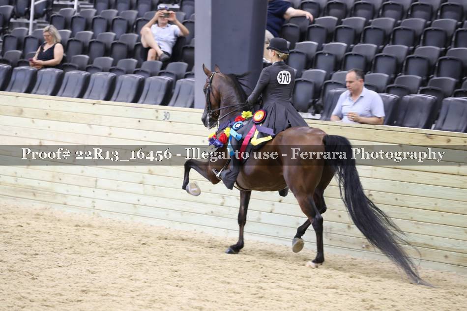 Proof 22R13_16456