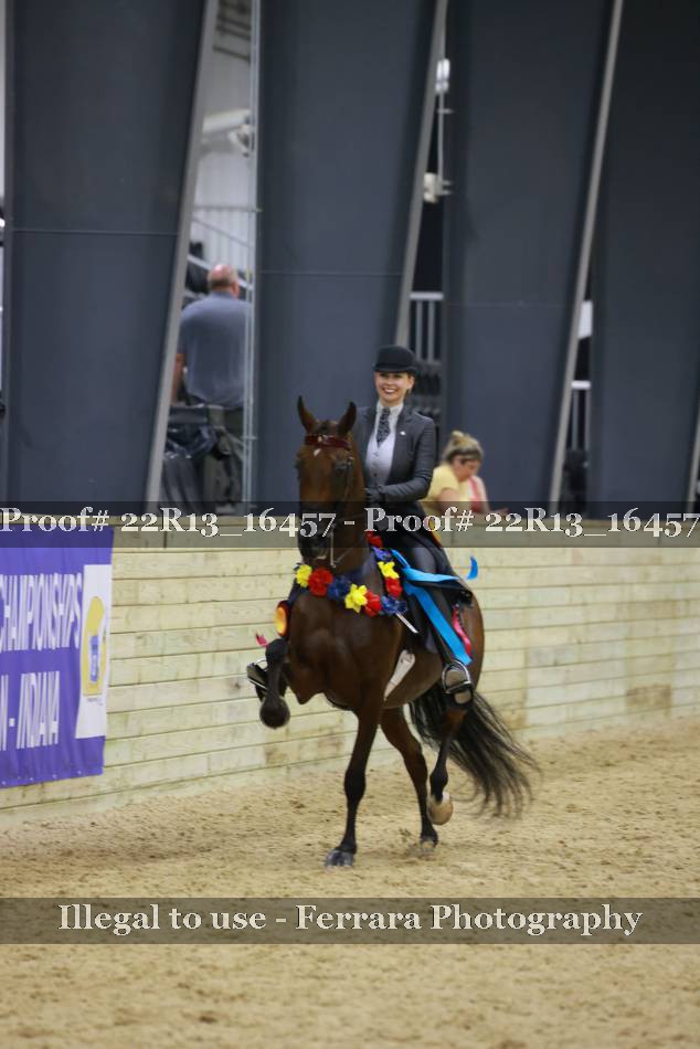Proof 22R13_16457