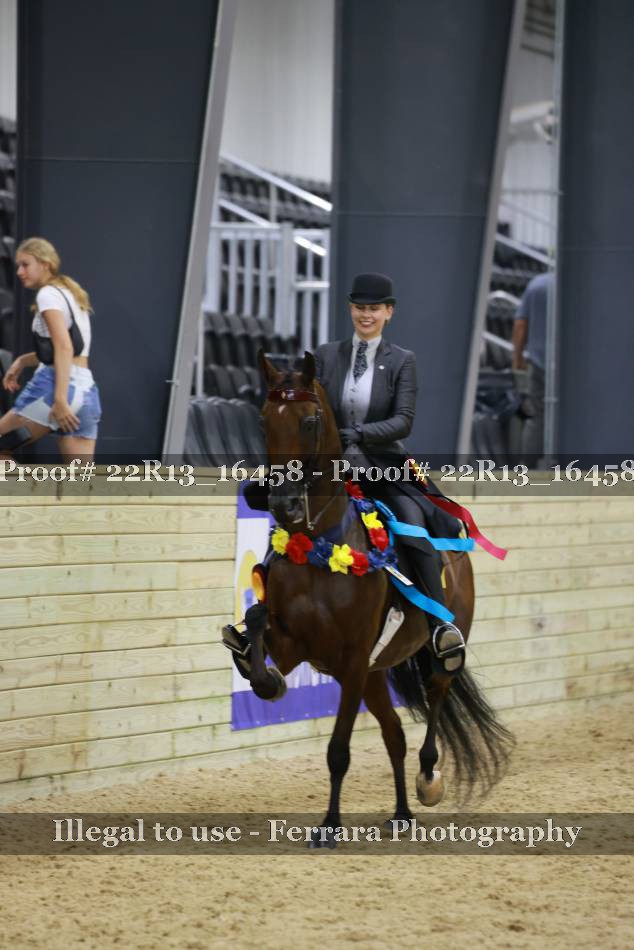 Proof 22R13_16458