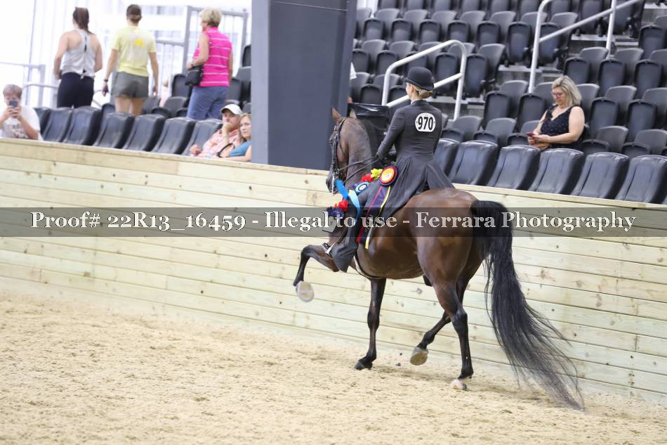 Proof 22R13_16459
