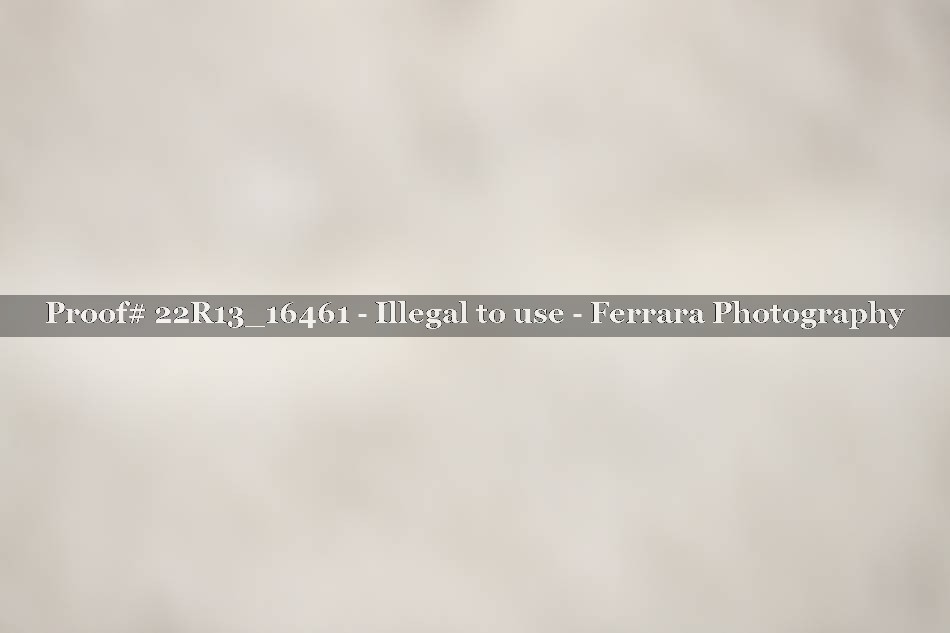 Proof 22R13_16461