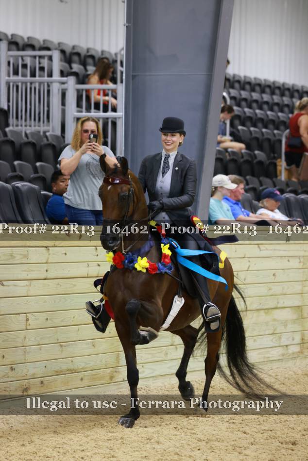 Proof 22R13_16462