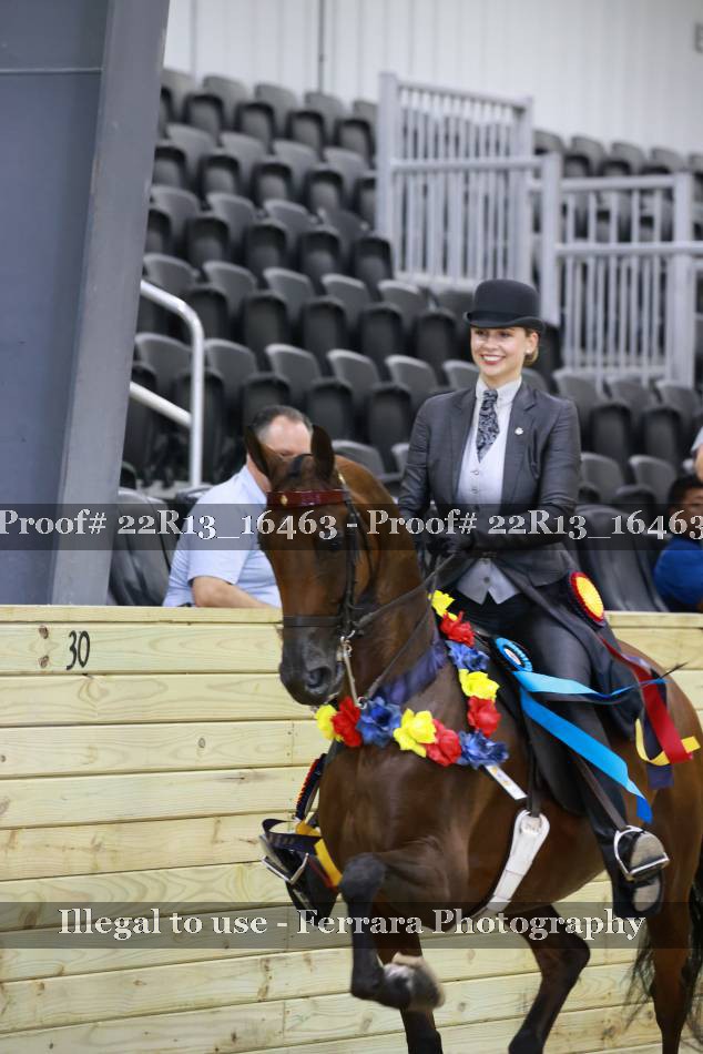 Proof 22R13_16463