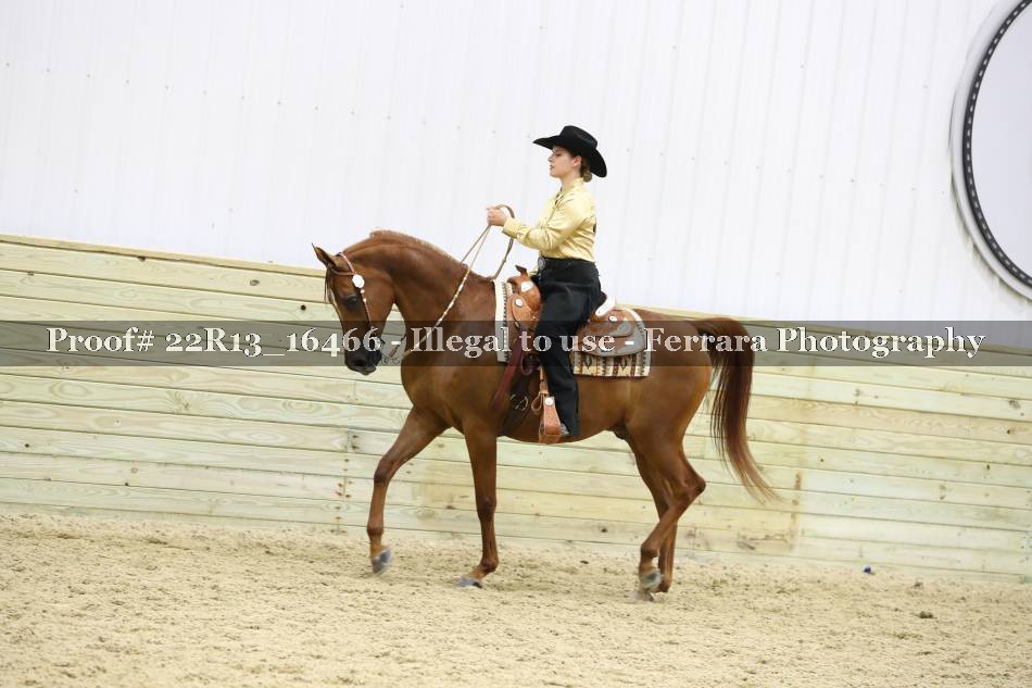 Proof 22R13_16466