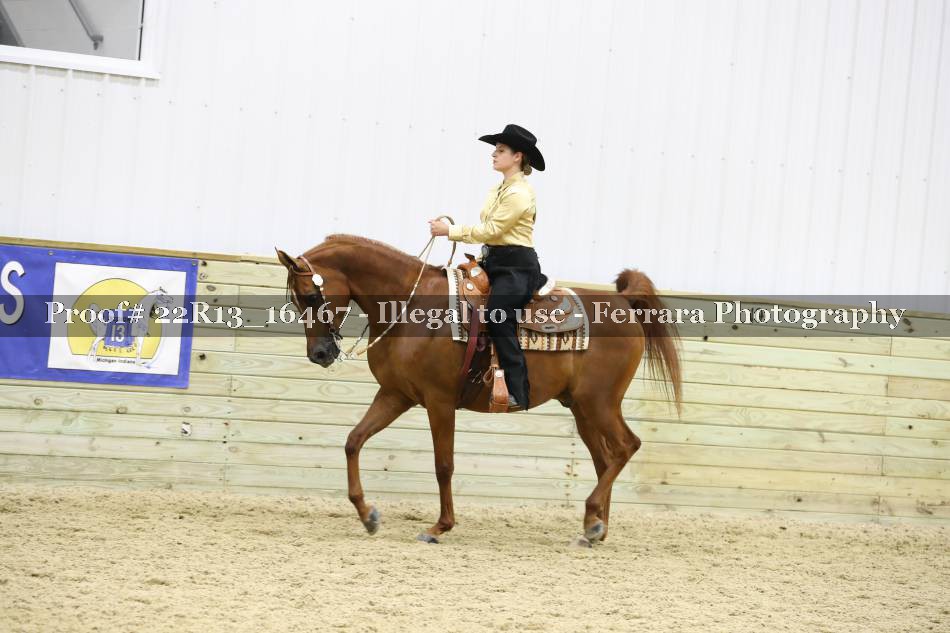 Proof 22R13_16467
