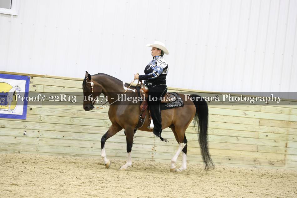 Proof 22R13_16471