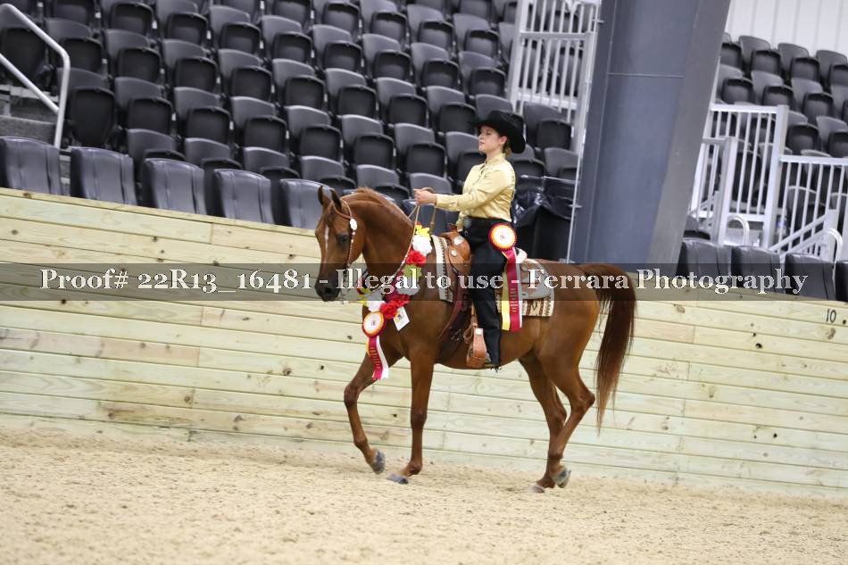 Proof 22R13_16481