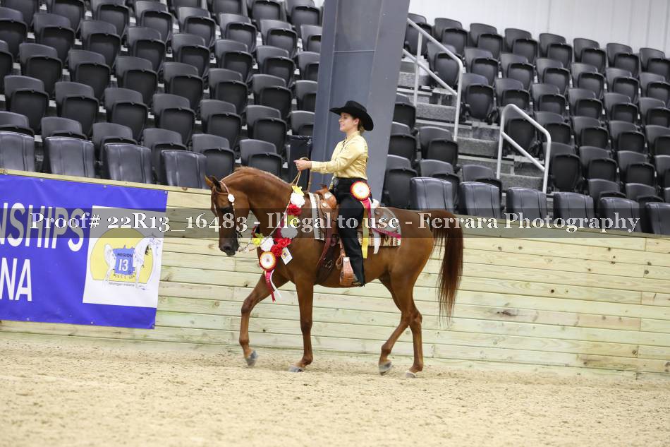 Proof 22R13_16483