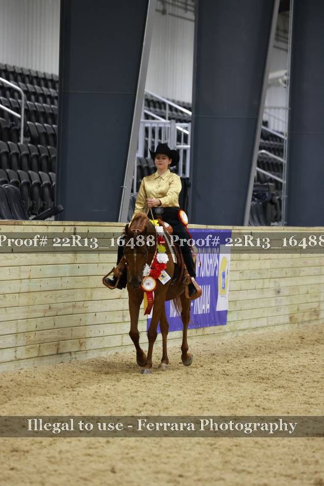 Proof 22R13_16488