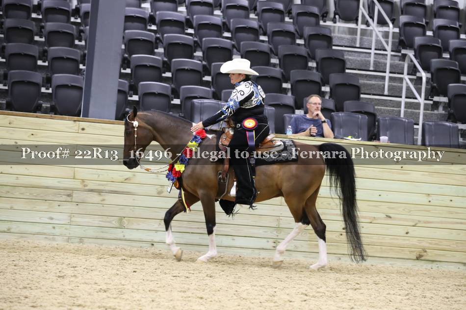 Proof 22R13_16496