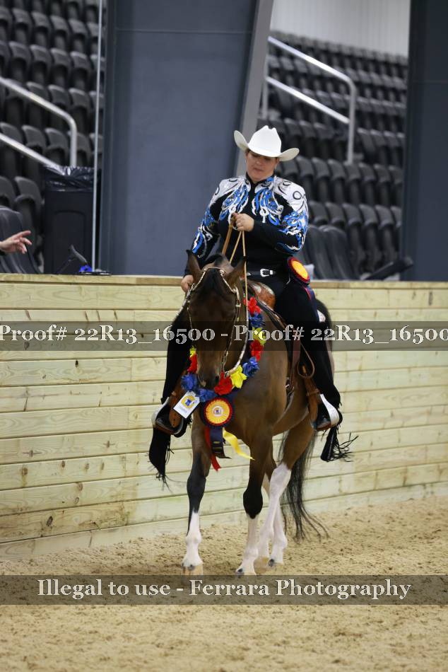 Proof 22R13_16500